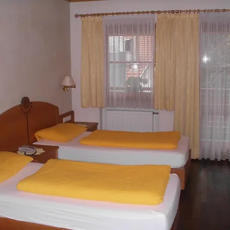 Hotel Alte Muhle 4*